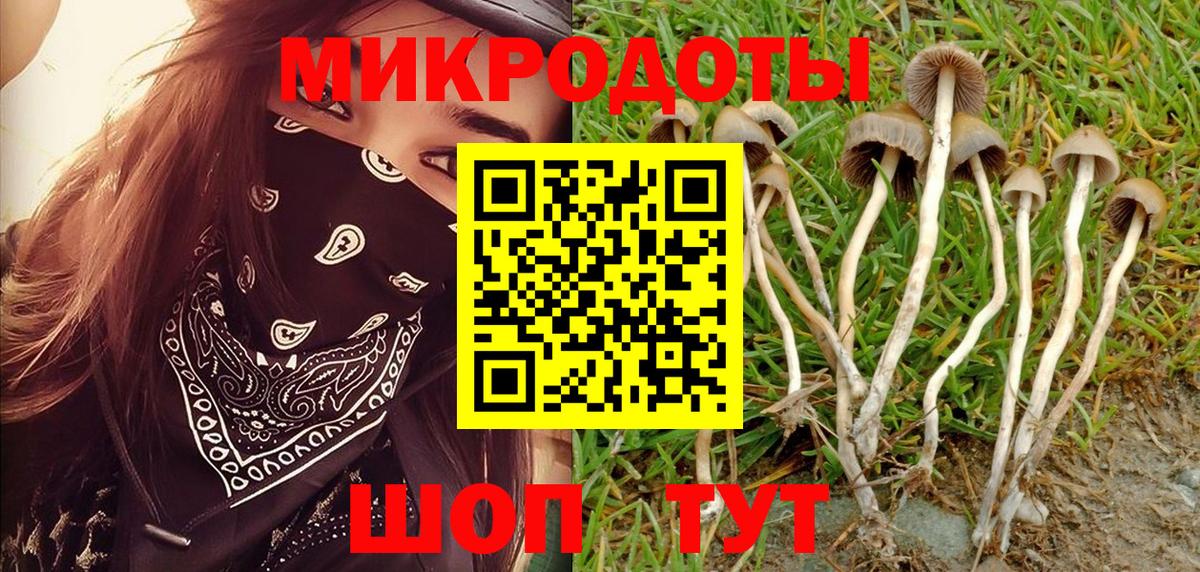 дарнет шоп  Псилоцибиновые грибы MAGIC MUSHROOMS  Галлюциногенные грибы Magic Shrooms  Вход с VPN  Кызыл 